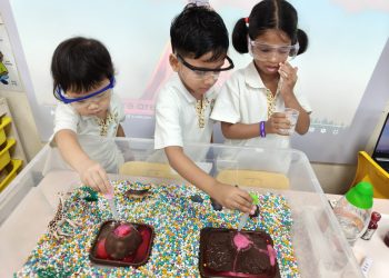 macpherson-isteam-day-2024-04