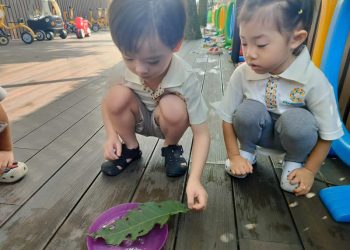 serangoon-gardens-leaf-cutout-art-02