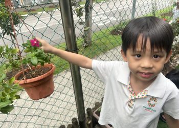 sengkang-mini-botanist-02