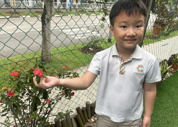 sengkang-mini-botanist-03
