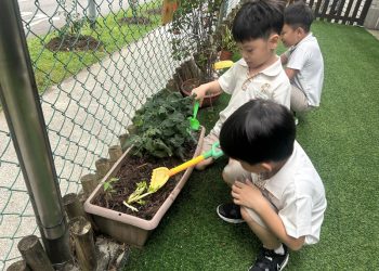 sengkang-mini-botanist-05