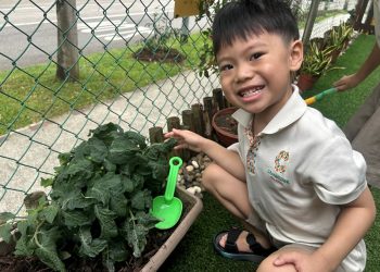 sengkang-mini-botanist-08