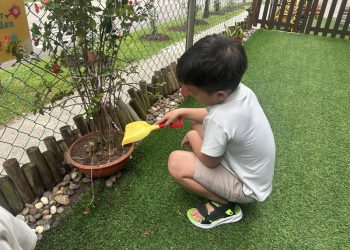 sengkang-mini-botanist-10