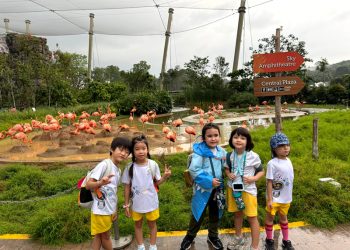 river-valley-mandai-bird-paradise-07