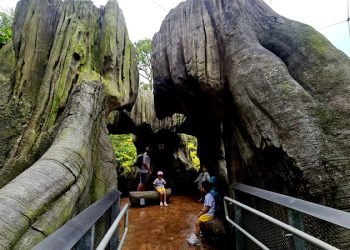 river-valley-mandai-bird-paradise-10