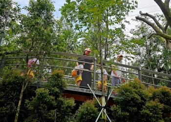 river-valley-mandai-bird-paradise-27