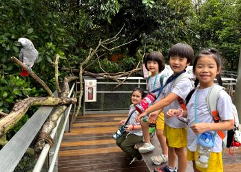 river-valley-mandai-bird-paradise-29
