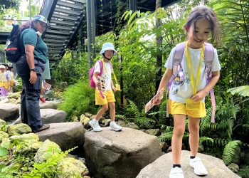 serangoon-gardens-picnic-puzzles-rainforest-02