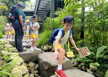 serangoon-gardens-picnic-puzzles-rainforest-03