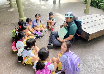 serangoon-gardens-picnic-puzzles-rainforest-04