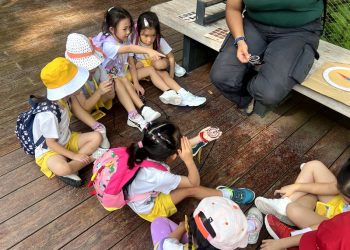 serangoon-gardens-picnic-puzzles-rainforest-06