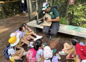 serangoon-gardens-picnic-puzzles-rainforest-07