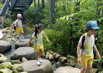 serangoon-gardens-picnic-puzzles-rainforest-08