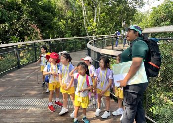 serangoon-gardens-picnic-puzzles-rainforest-10