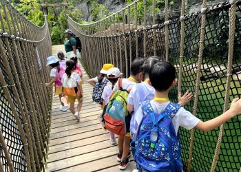 serangoon-gardens-picnic-puzzles-rainforest-12