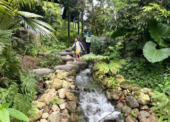 serangoon-gardens-picnic-puzzles-rainforest-13