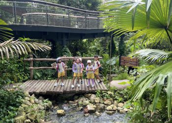 serangoon-gardens-picnic-puzzles-rainforest-14