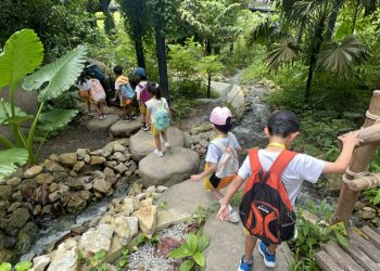 serangoon-gardens-picnic-puzzles-rainforest-15