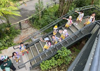 serangoon-gardens-picnic-puzzles-rainforest-16
