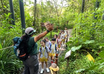 serangoon-gardens-picnic-puzzles-rainforest-17