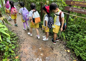 serangoon-gardens-picnic-puzzles-rainforest-18