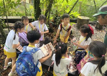 serangoon-gardens-picnic-puzzles-rainforest-21