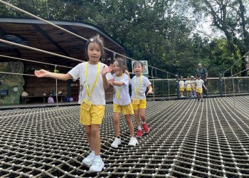 serangoon-gardens-picnic-puzzles-rainforest-24
