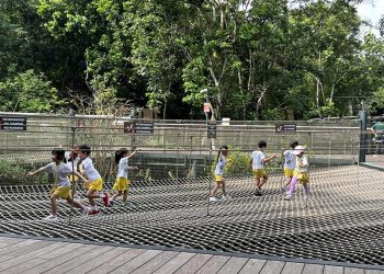 serangoon-gardens-picnic-puzzles-rainforest-27