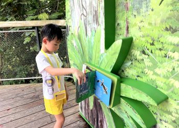 serangoon-gardens-picnic-puzzles-rainforest-28