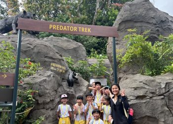 serangoon-gardens-picnic-puzzles-rainforest-32