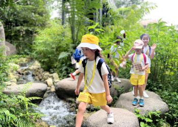serangoon-gardens-picnic-puzzles-rainforest-33