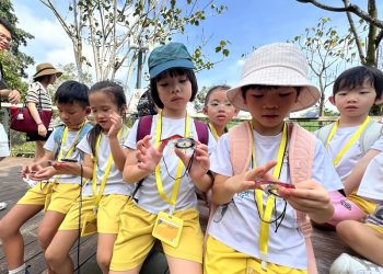 serangoon-gardens-picnic-puzzles-rainforest-37